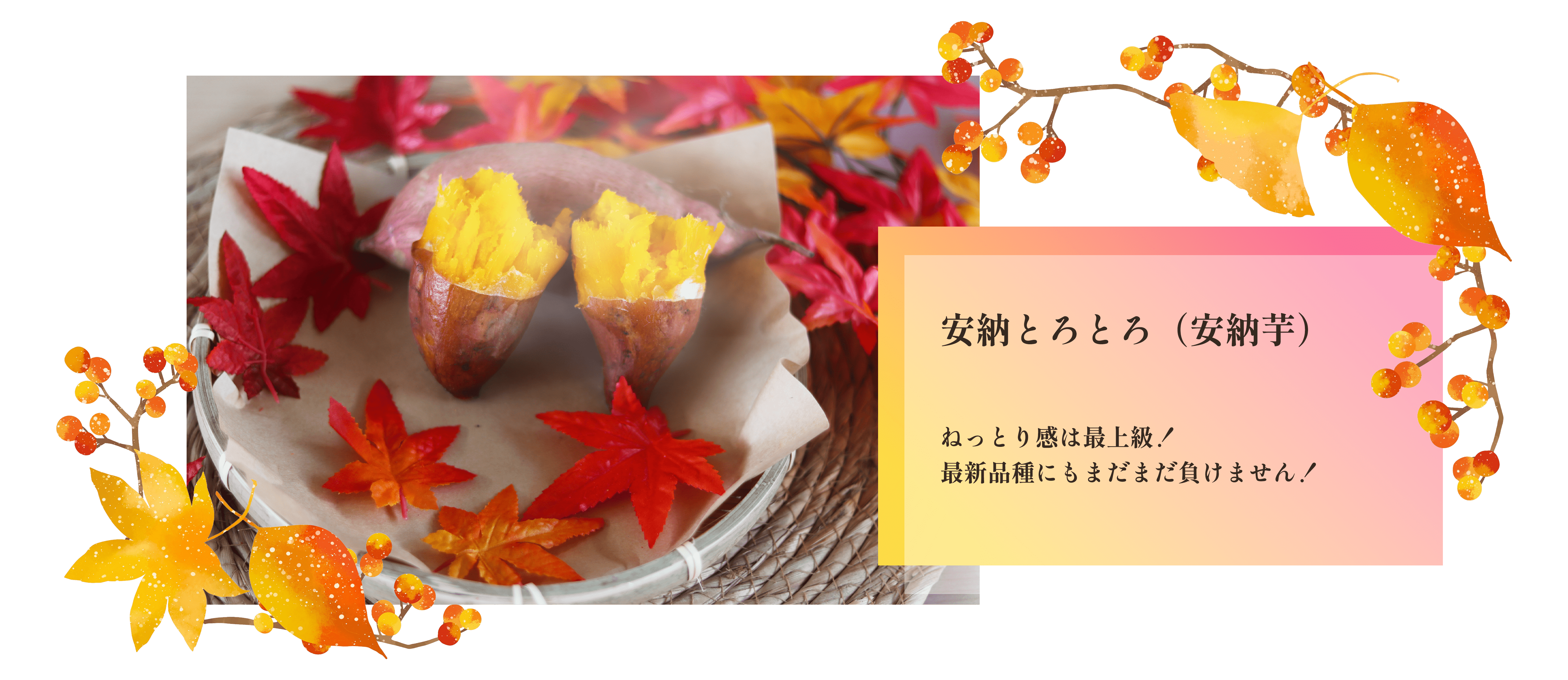 新芋解禁特設ページ