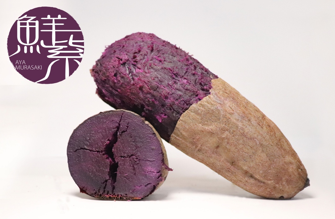 アヤムラサキPC