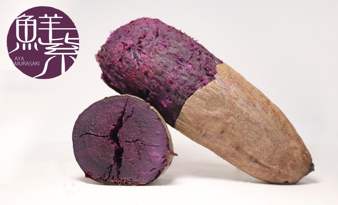 スマホ用アヤムラサキバナー画像