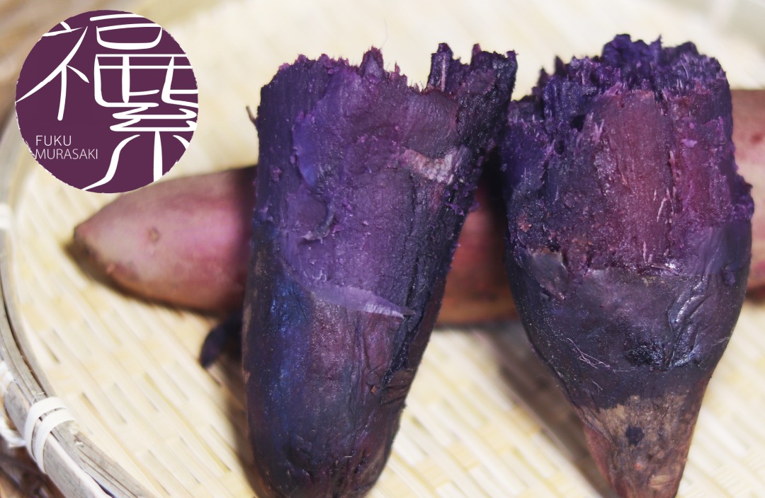 フクムラサキPC