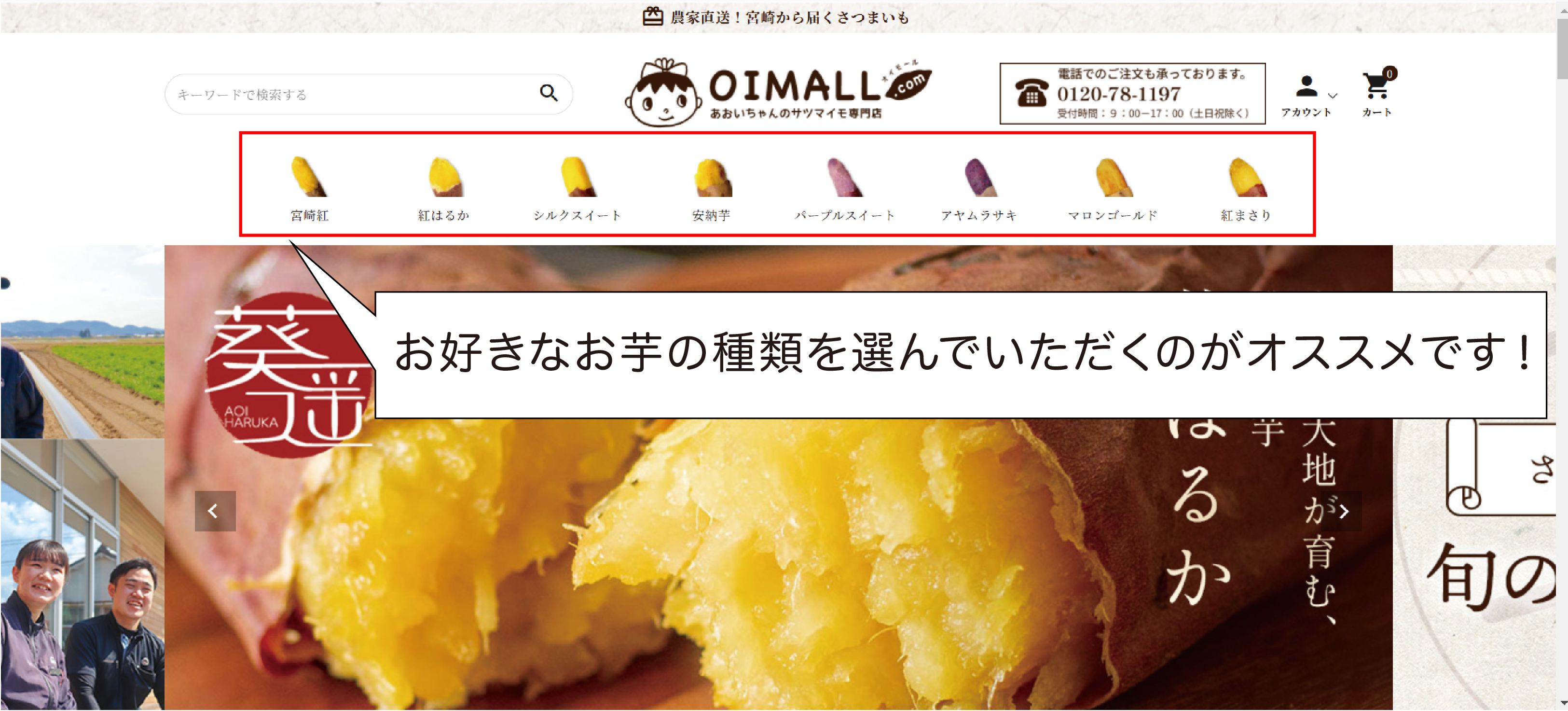 パソコン版商品の選び方1枚目