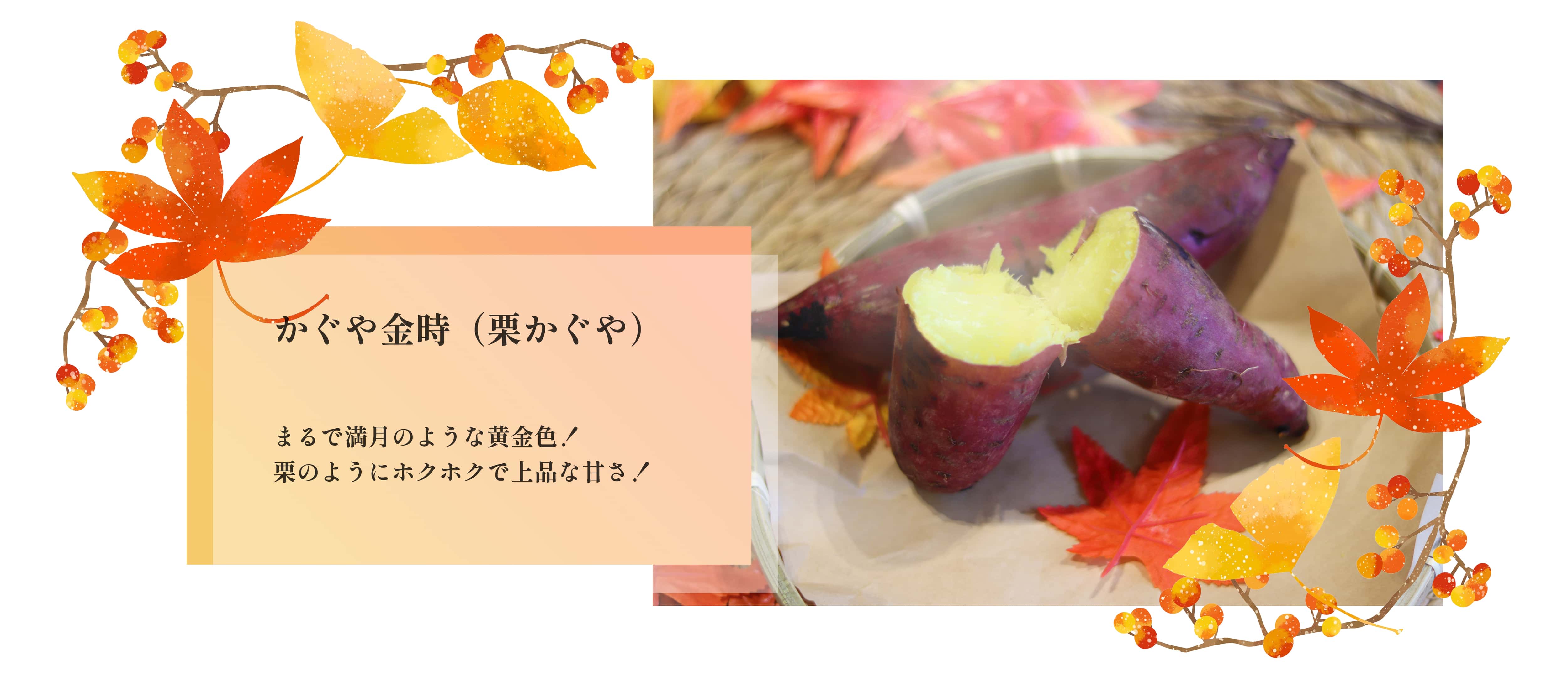 新芋栗かぐや