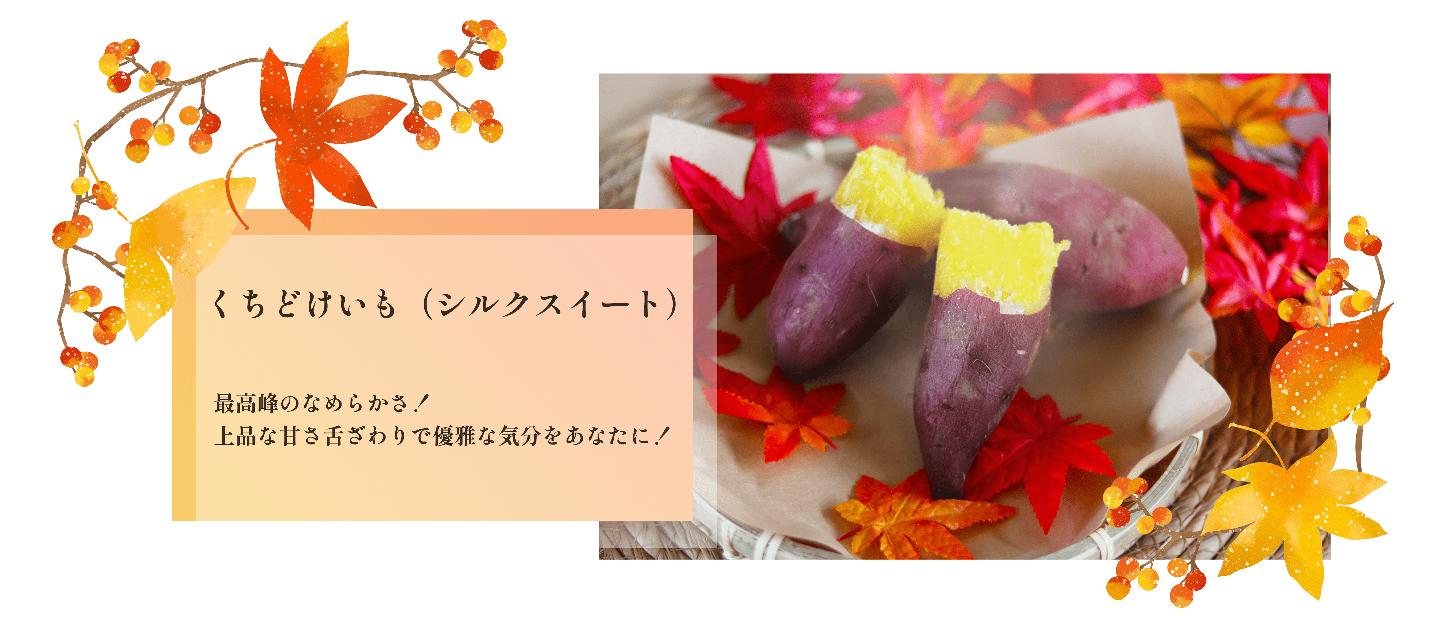 新芋シルクスイート