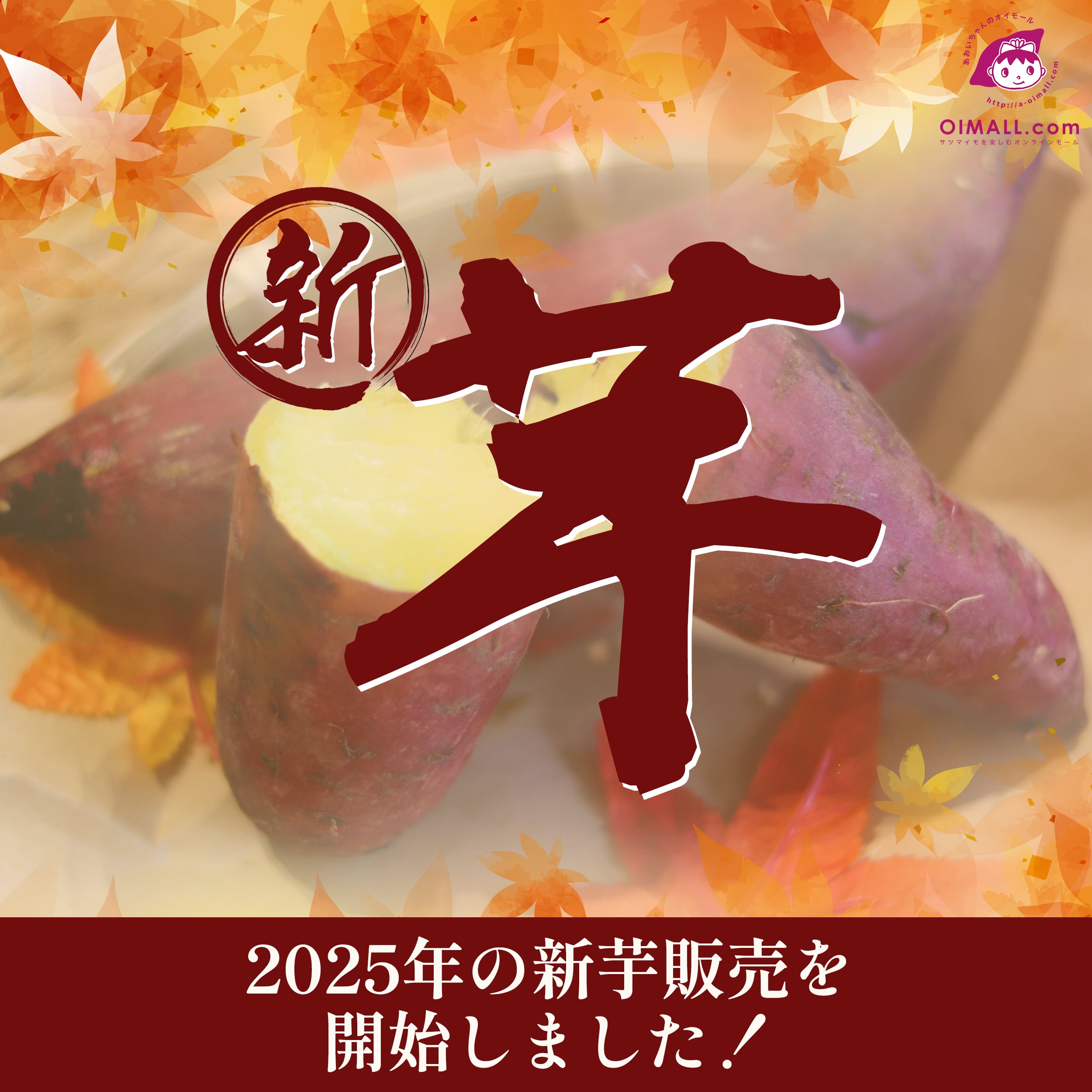 新芋解禁