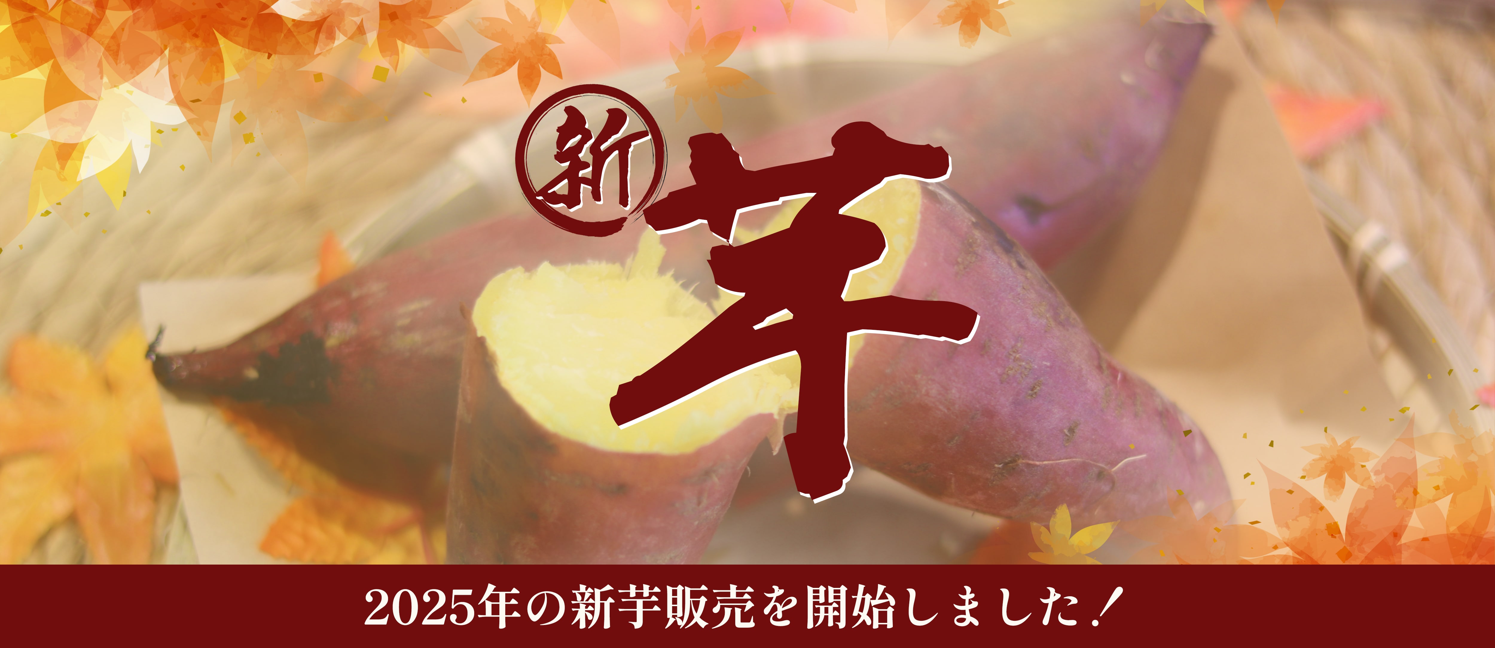 新芋解禁バナー