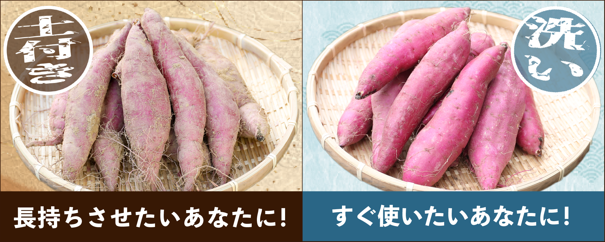 さつまいもの洗いと土付きの違い