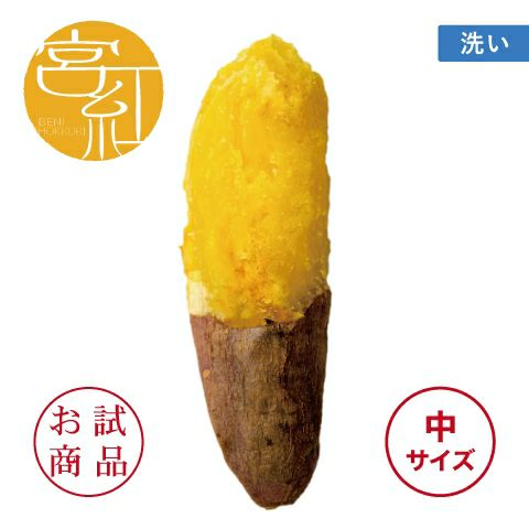 【お試商品】べにほっくり　洗い 〈中サイズ〉画像1