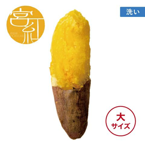 【洗い】べにほっくり〈大サイズ〉画像1