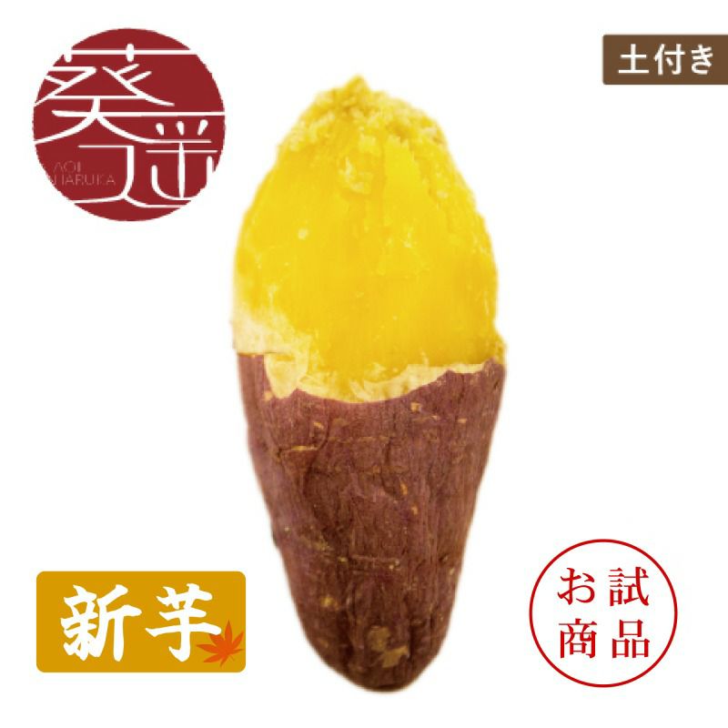 【お試商品】葵はるか　洗い 〈中サイズ〉画像1