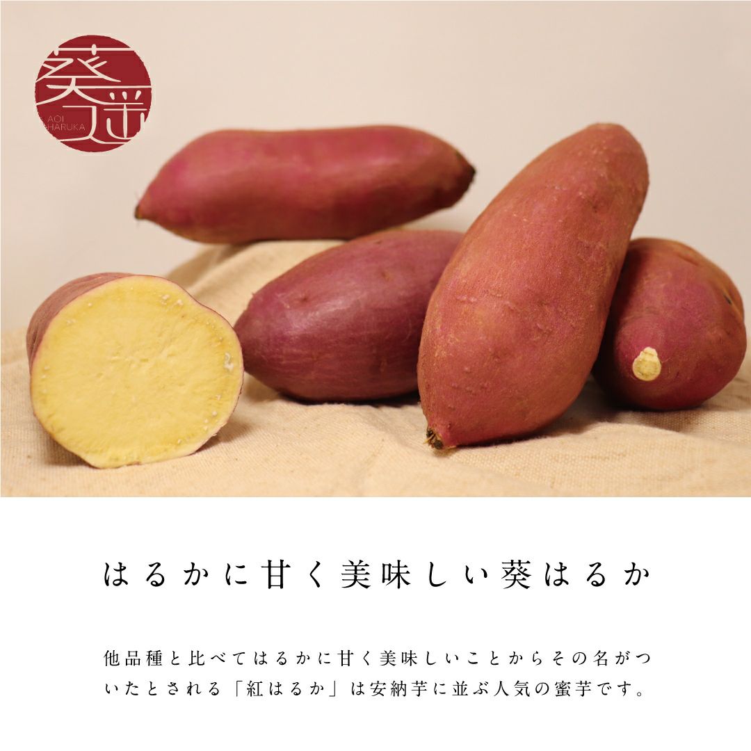 【お試商品】葵はるか　洗い 〈中サイズ〉画像2