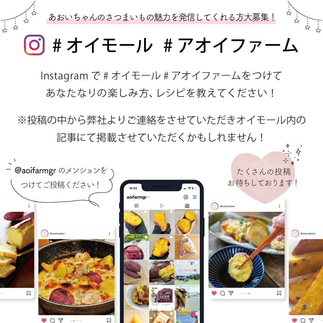 【お試商品】葵はるか　洗い 〈中サイズ〉画像4