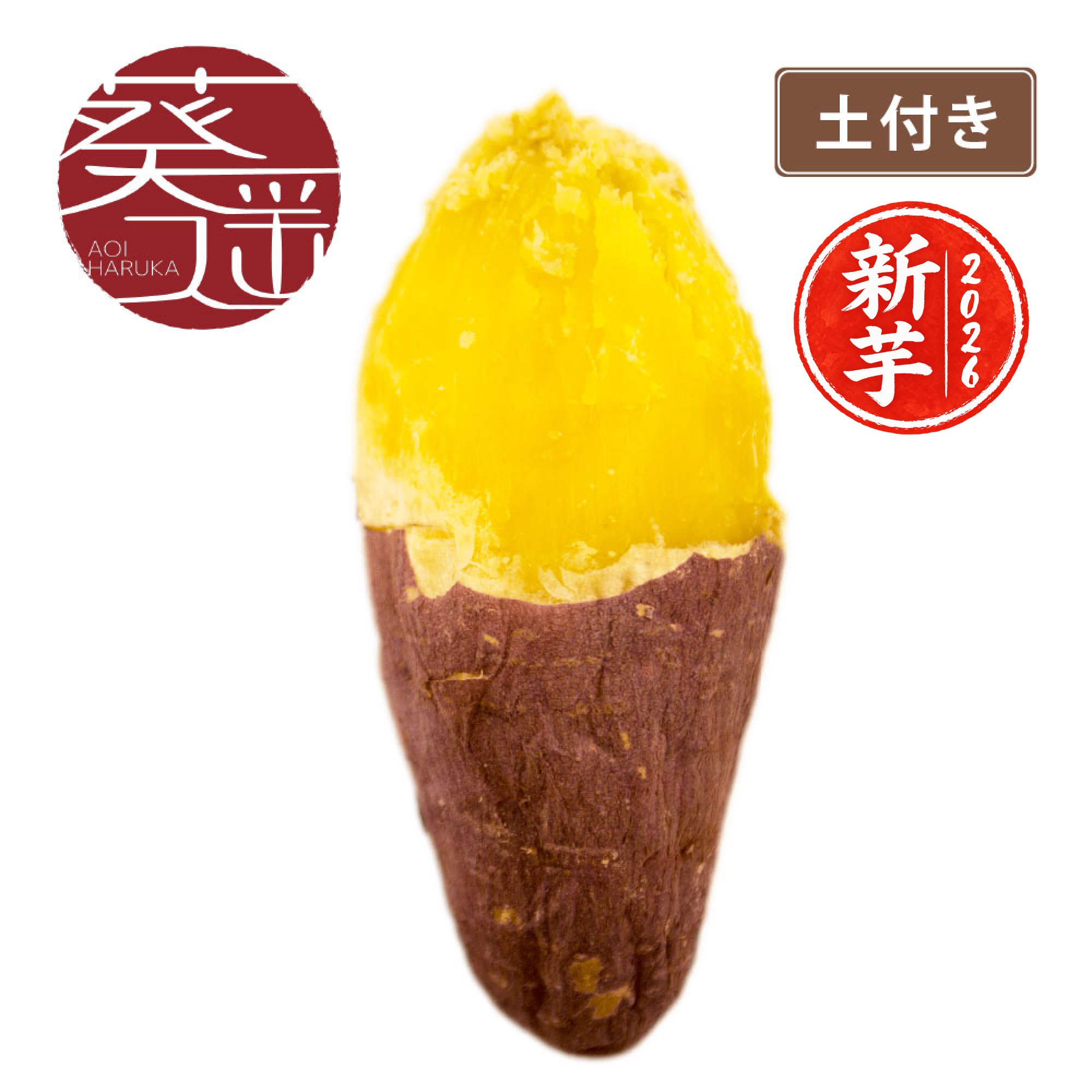 【土付き】葵はるか〈中サイズ〉画像1