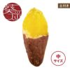 【土付き】葵はるか〈中サイズ〉画像1