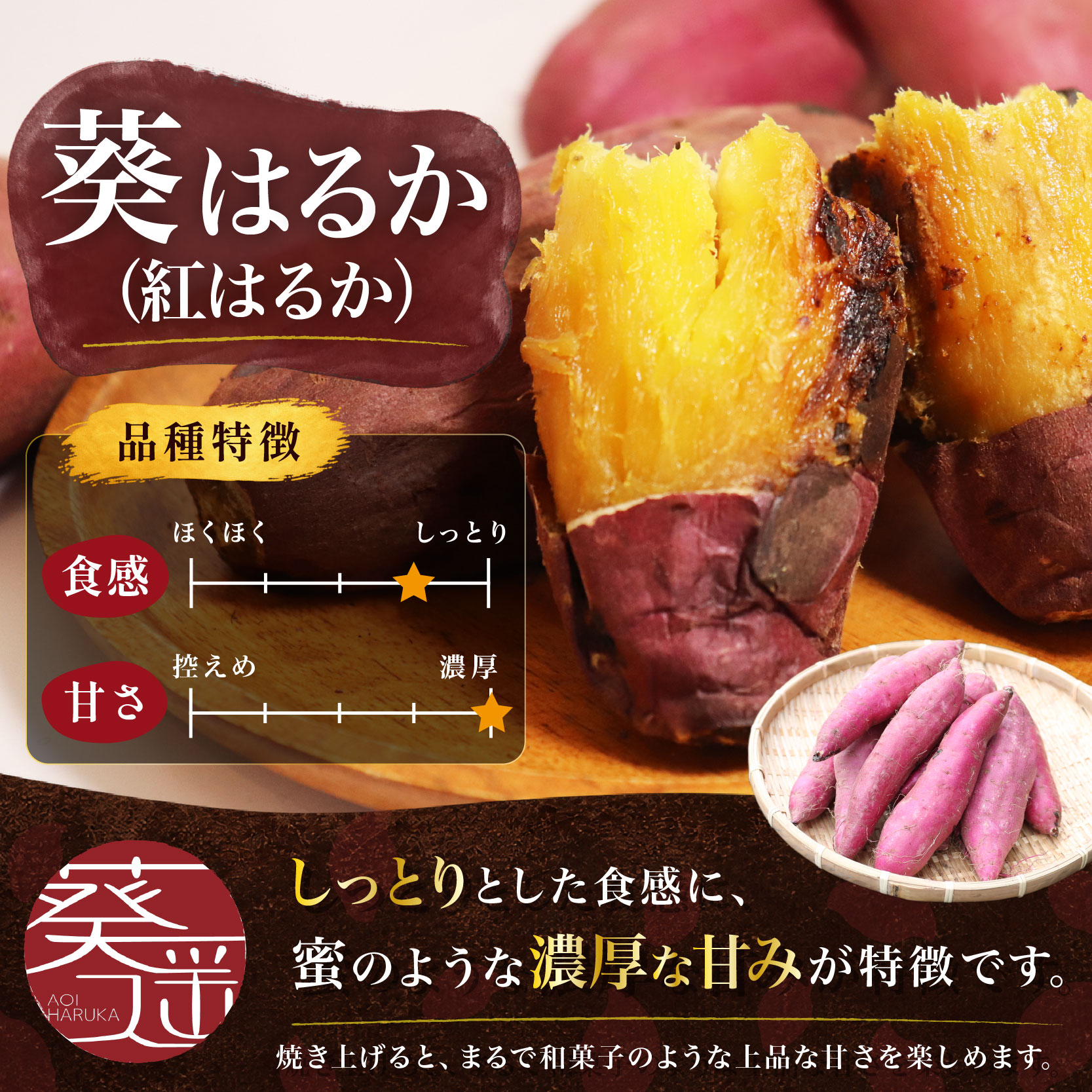 【土付き】葵はるか〈中サイズ〉画像6