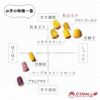 【洗い】葵はるか〈中サイズ〉画像5
