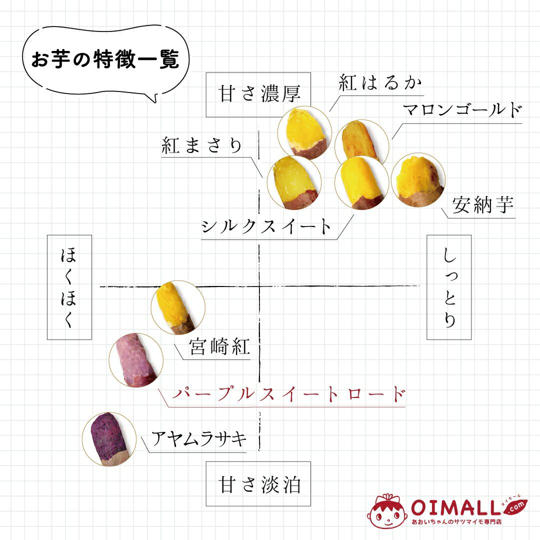 【洗い】イロドリムラサキ〈中サイズ〉画像2