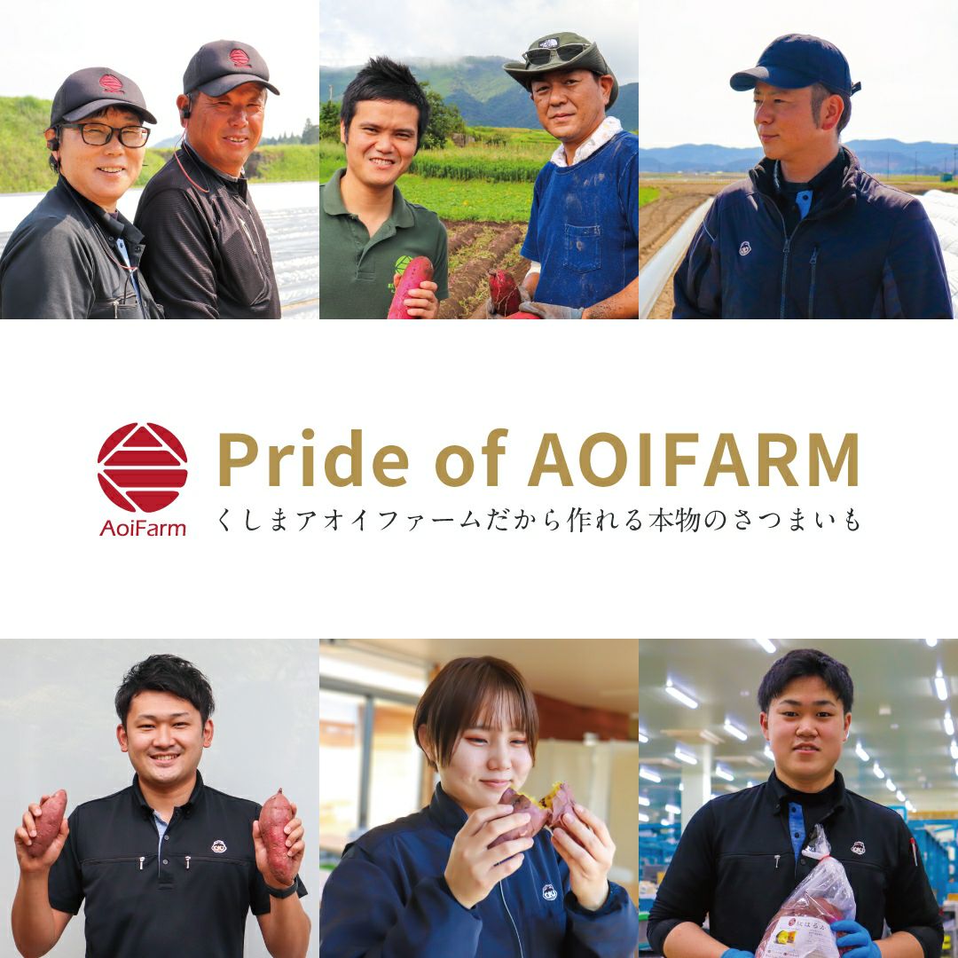 【洗い】イロドリムラサキ〈中サイズ〉画像5