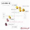 【洗い】イロドリムラサキ〈大サイズ〉画像2