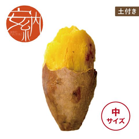 【土付き】安納とろとろ〈中サイズ〉画像1