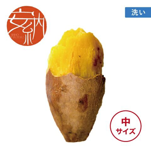 【洗い】安納とろとろ〈中サイズ〉画像1