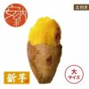 【土付き】安納とろとろ〈大サイズ〉画像1