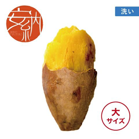 【洗い】安納とろとろ〈大サイズ〉画像1