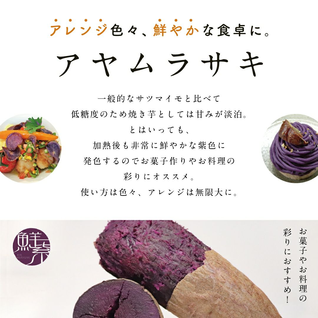 【土付き】アヤムラサキ〈小サイズ〉画像2