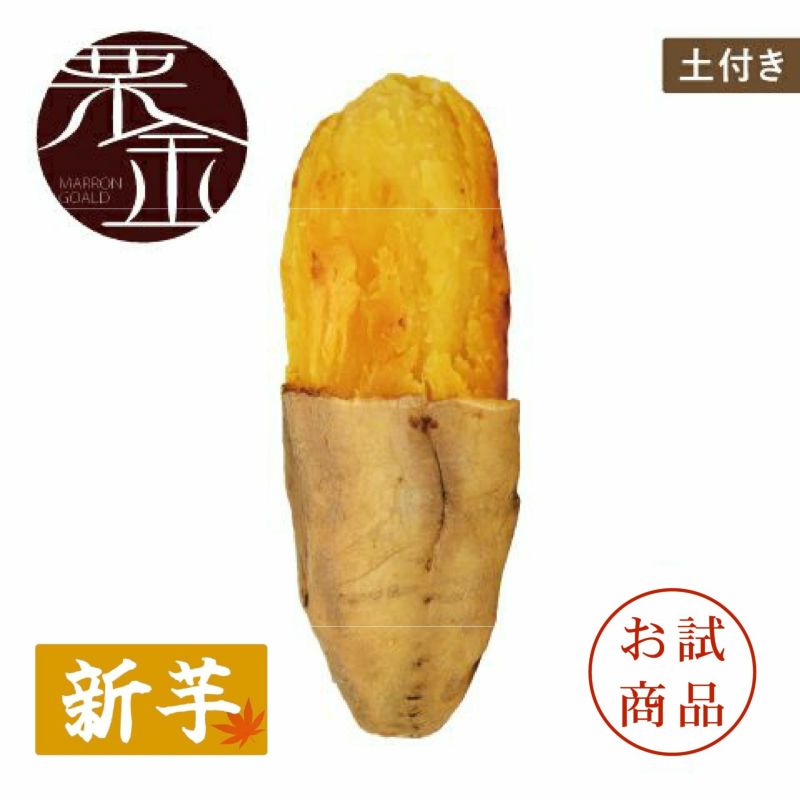 【お試商品】マロンゴールド　洗い 〈中サイズ〉　画像1