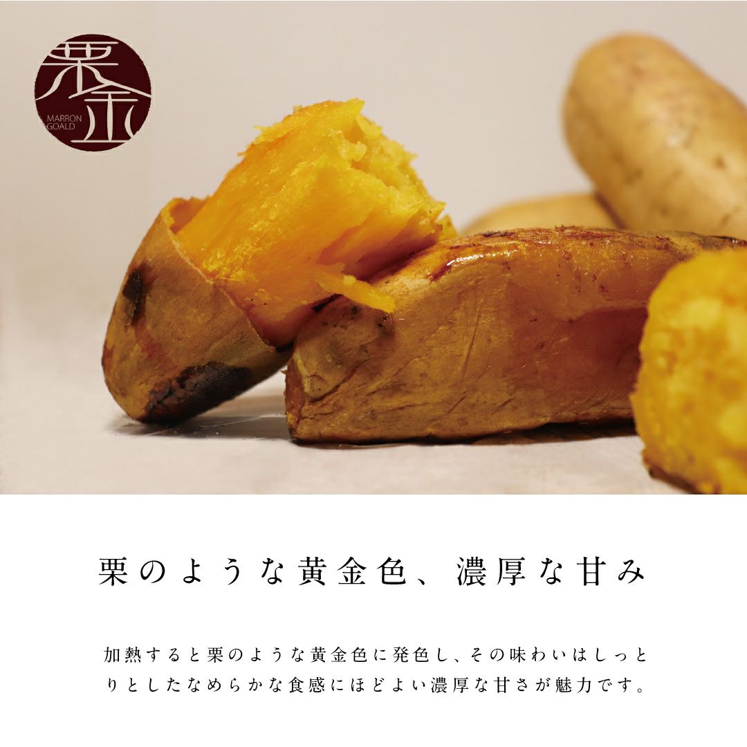 【お試商品】マロンゴールド　洗い 〈中サイズ〉　画像3 