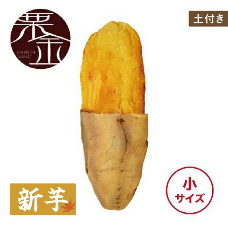 【土付き】マロンゴールド〈小サイズ〉画像1