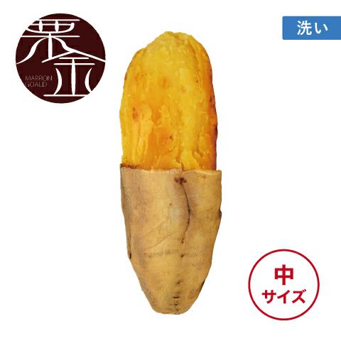 【洗い】マロンゴールド〈中サイズ〉 画像1