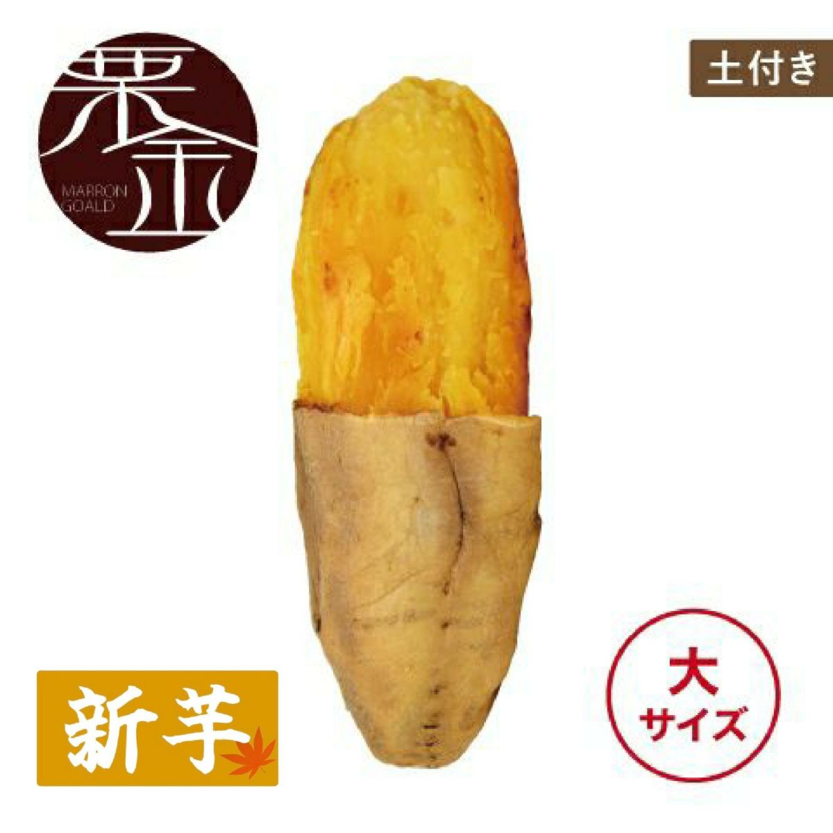 【土付き】マロンゴールド〈大サイズ〉 画像1
