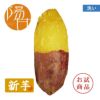 【お試商品】ひなたスイート 洗い〈中サイズ〉 画像1