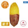 【洗い】ひなたスイート〈中サイズ〉 画像1