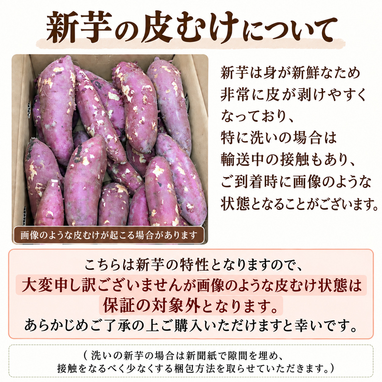 【洗い】ひなたスイート〈中サイズ〉 画像6