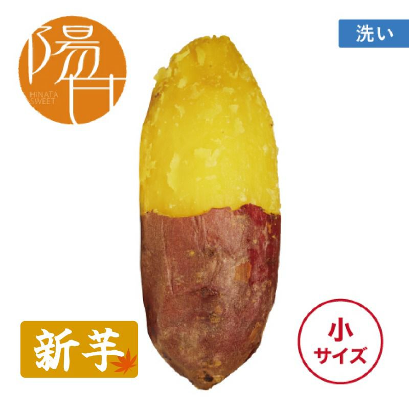 【洗い】ひなたスイート〈小サイズ〉　画像1