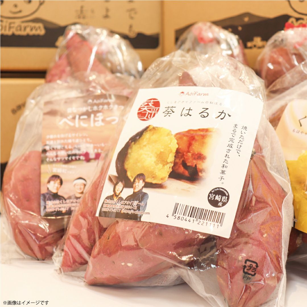 【食べ比べ】詰め合わせセット〈6袋入り〉 画像10