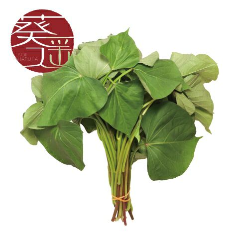 予約受付中】紅はるか苗☆ウイルスフリー 700本 4月上旬から発送開始 